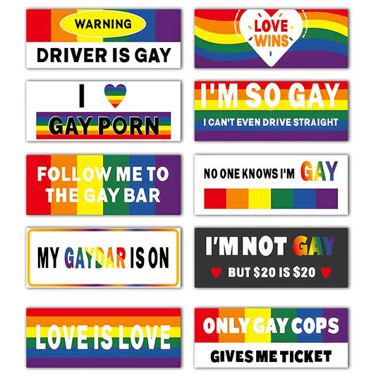 10 Pcs Funny LGBT Magnetic Bumper Stickers